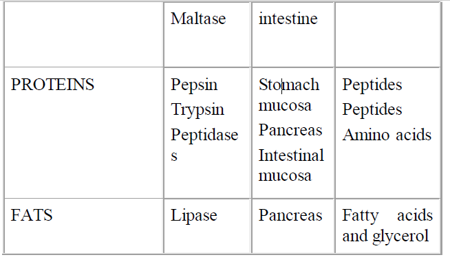 fig 0610202111052.PNG